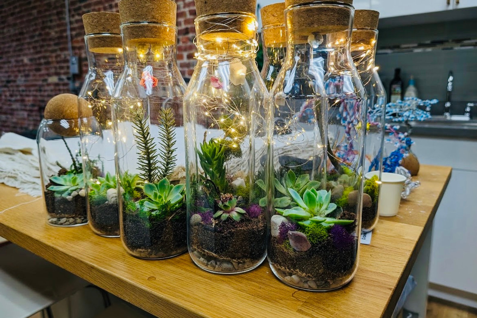 Terrariums finished in a team session